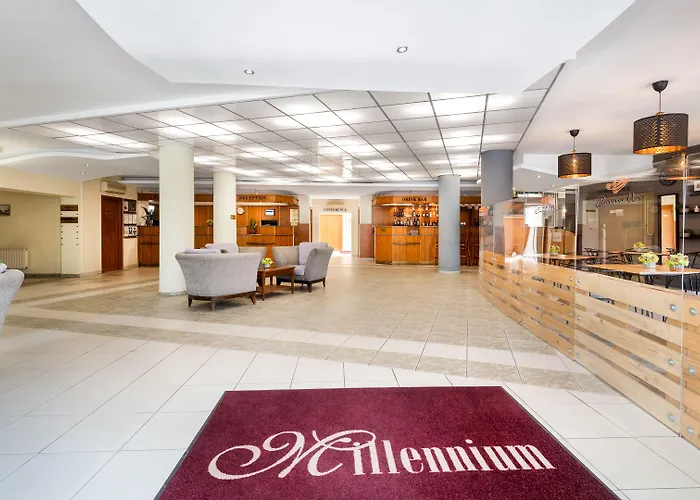 Hotel Millennium 3*